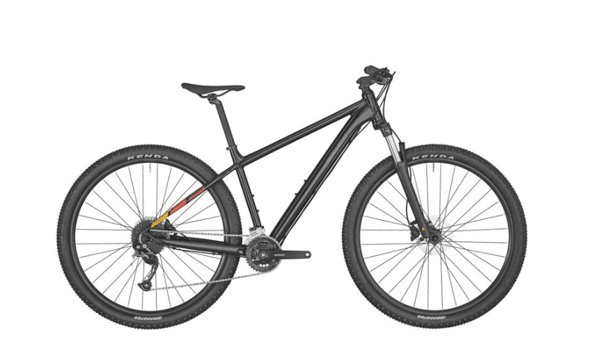 Bergamont Revox 4