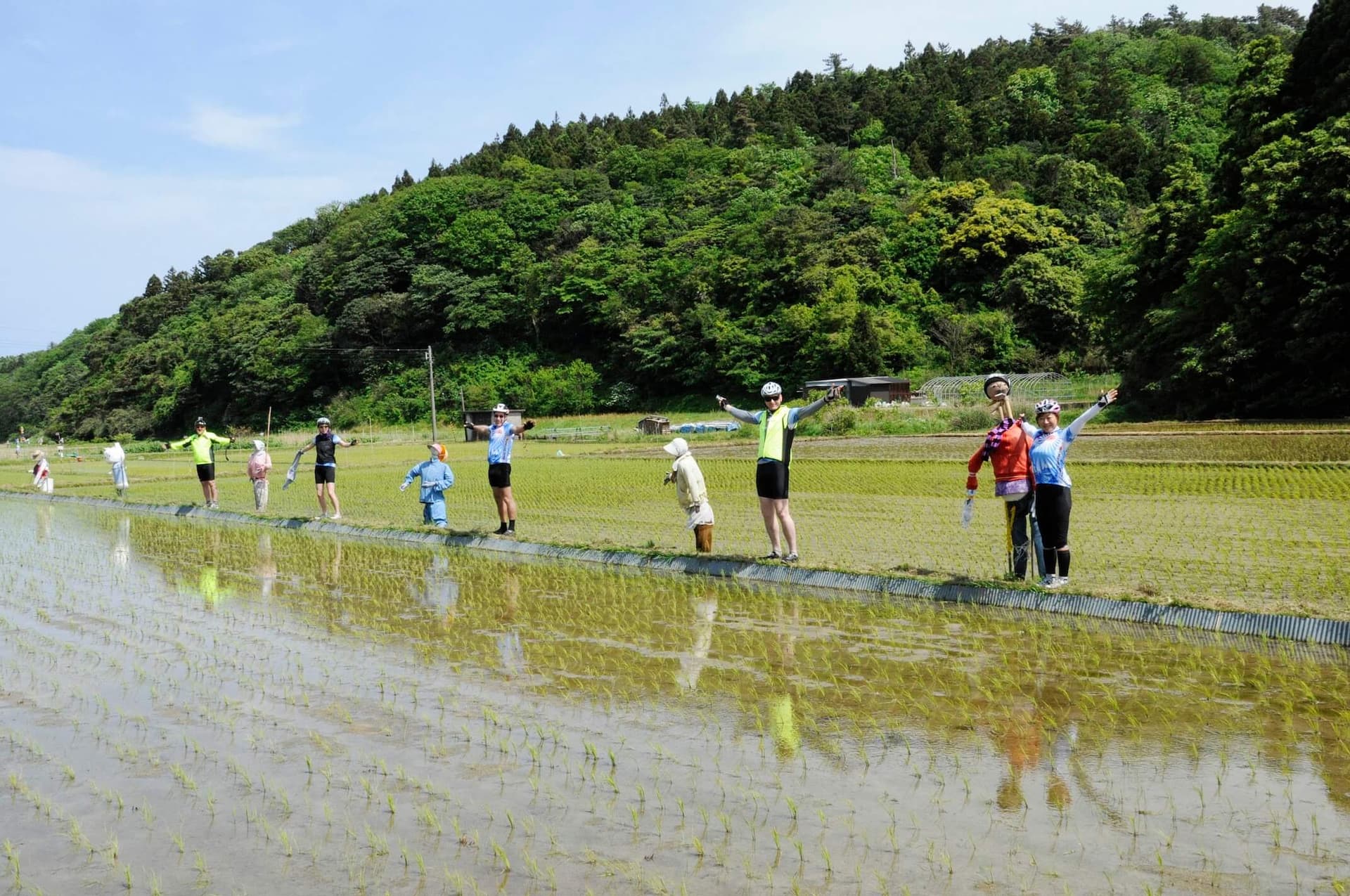 1000 rice fields