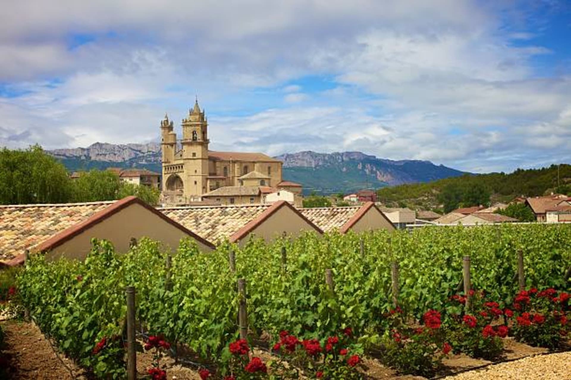 The Complete Guide to Cycling the La Rioja Wine Region