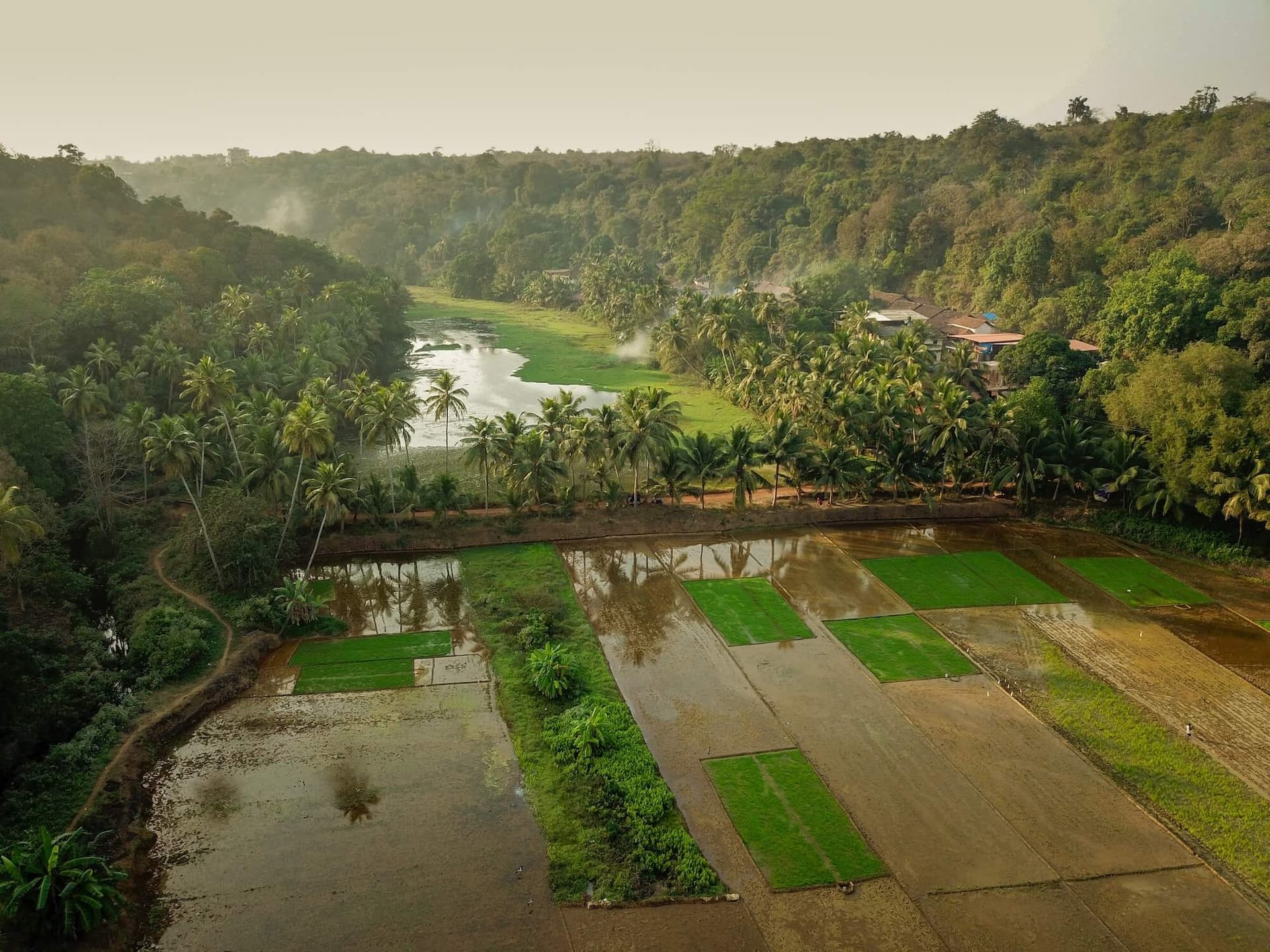 Western Ghats