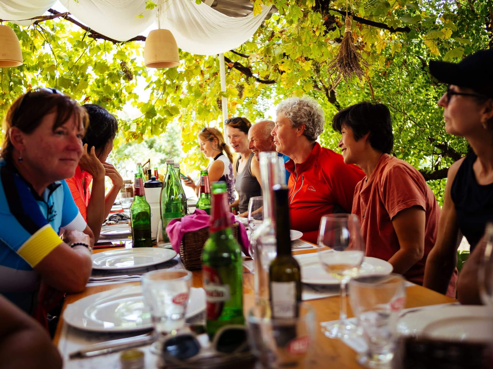 finest Croatian wines