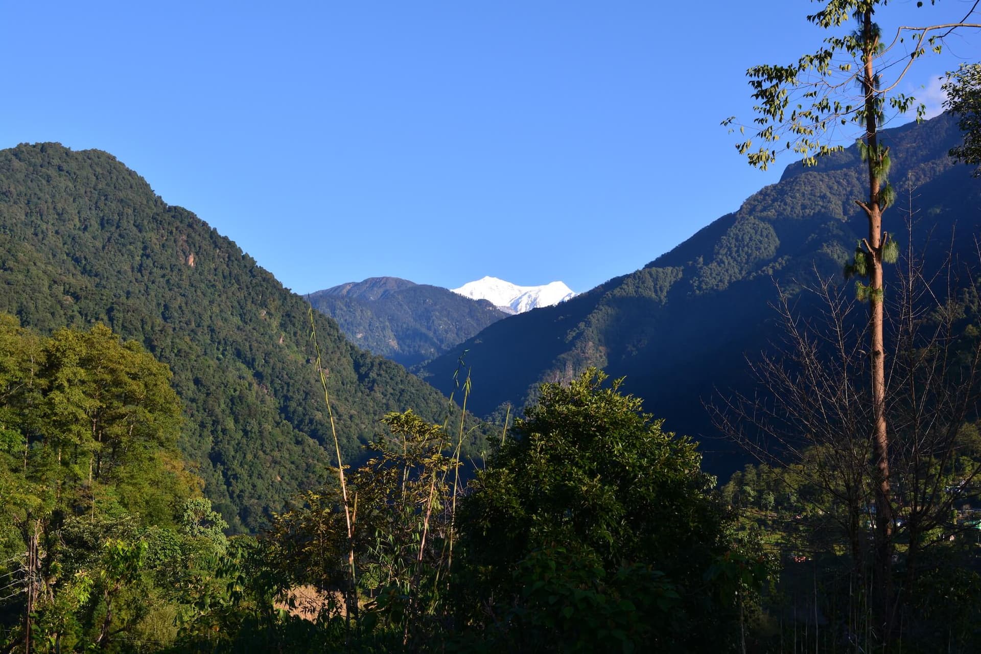 Khangchendzonga