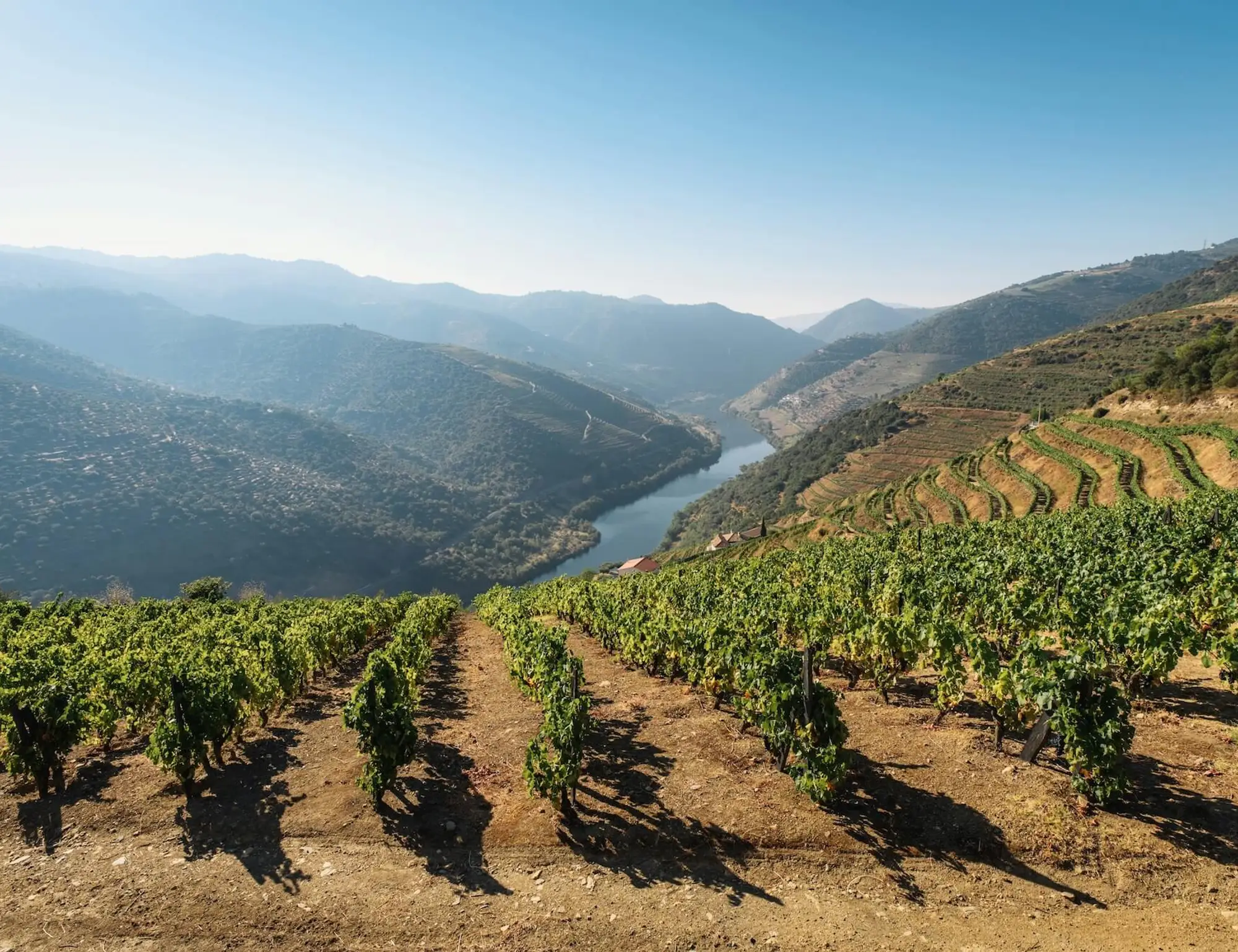 Porto and Douro Valley Bike Tour