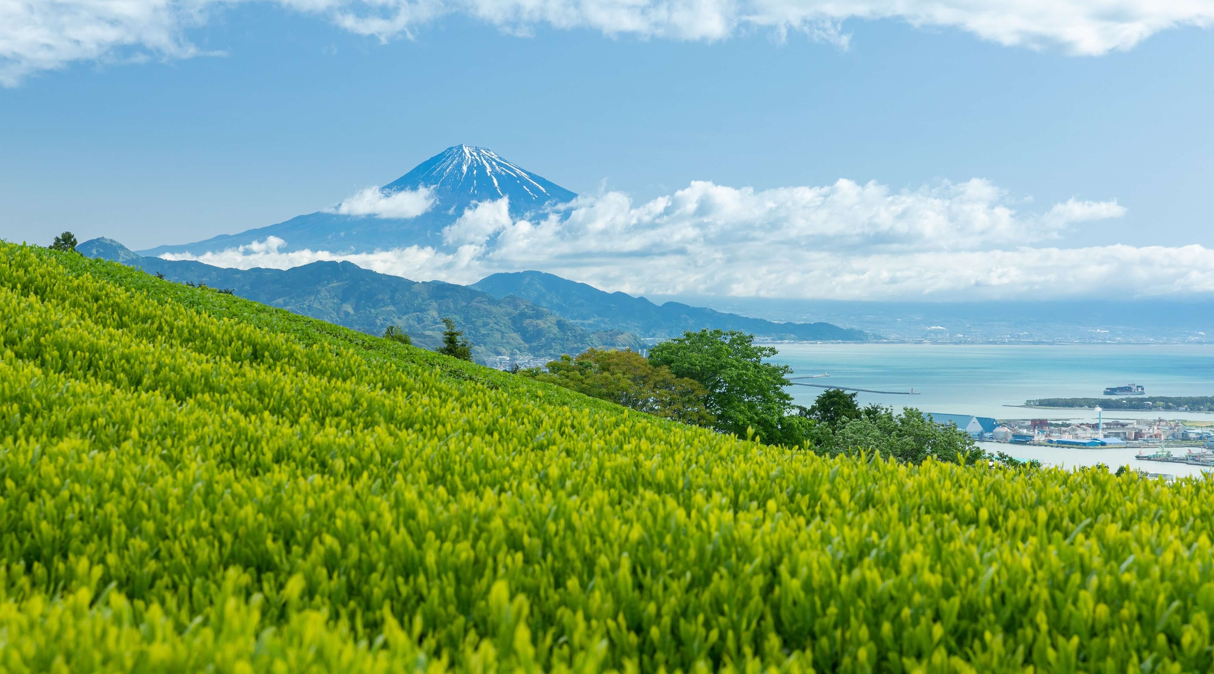 Mt fuji daira