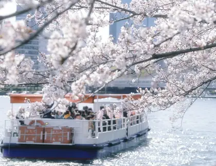 Shimanami and Kyushu Bike Tour