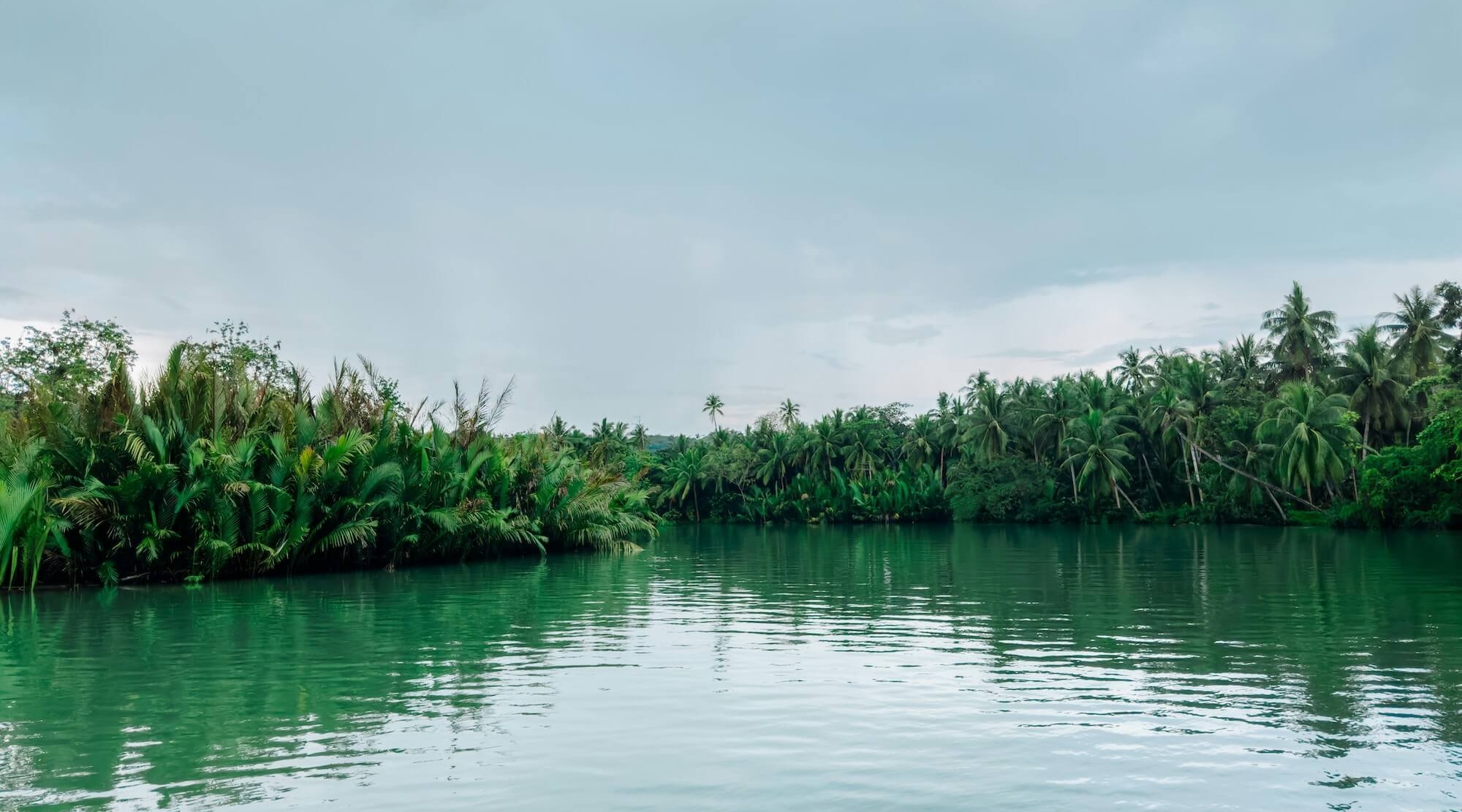 Loboc1 Philippines (1)