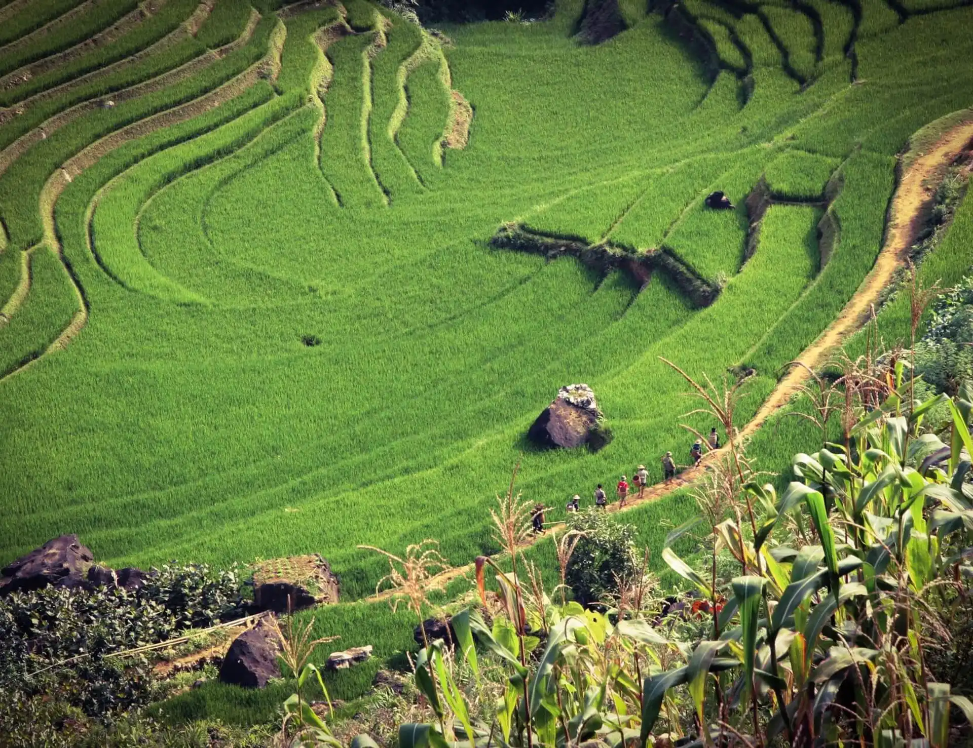 Northern Vietnam: bike, walk, kayak