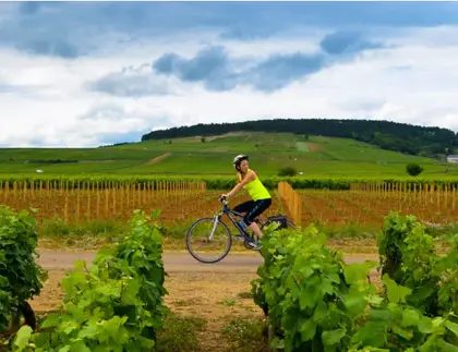 Essence of Burgundy in Luxury Loop Bike Tour