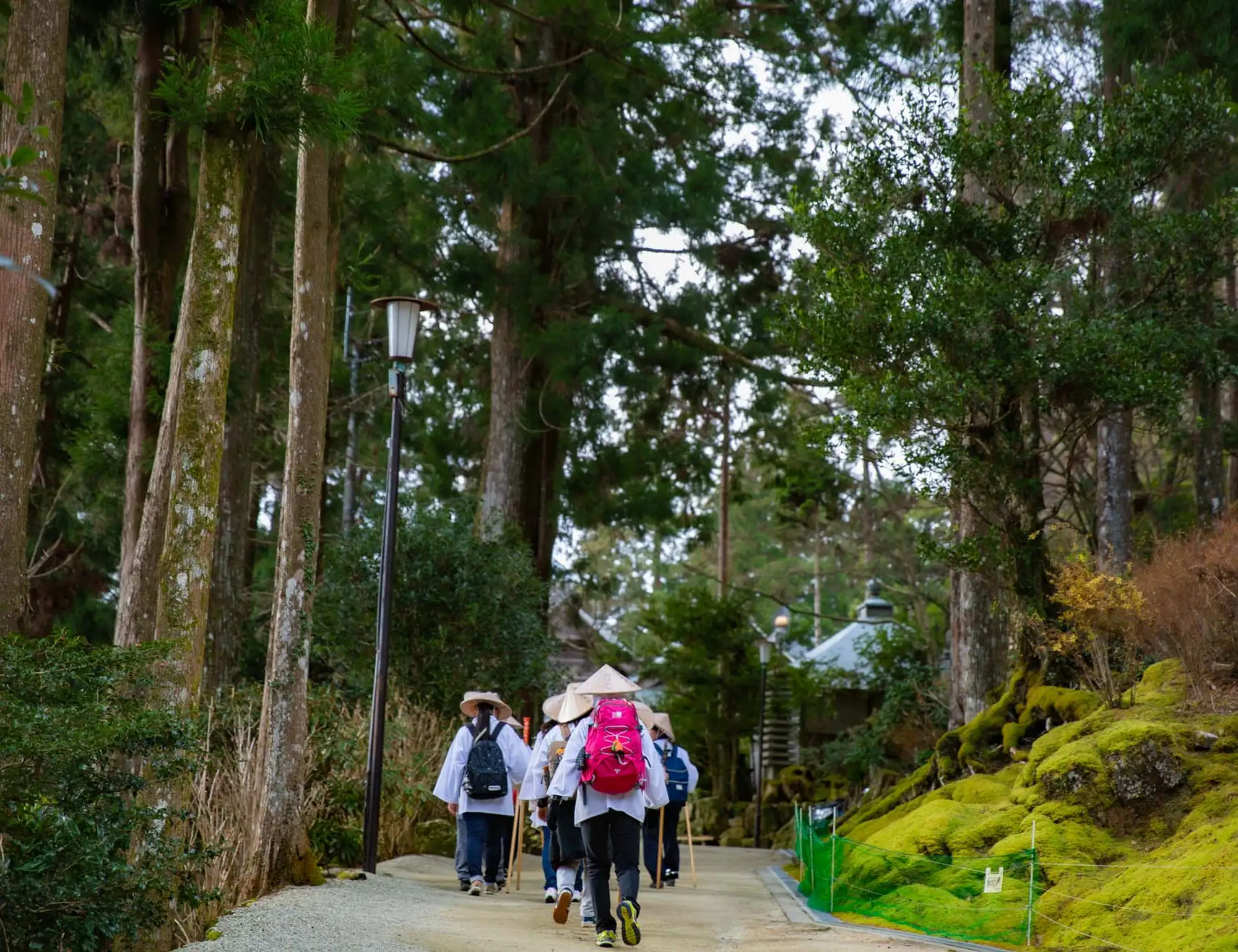 Temples and Trails of Shikoku Hiking and Walking Tour