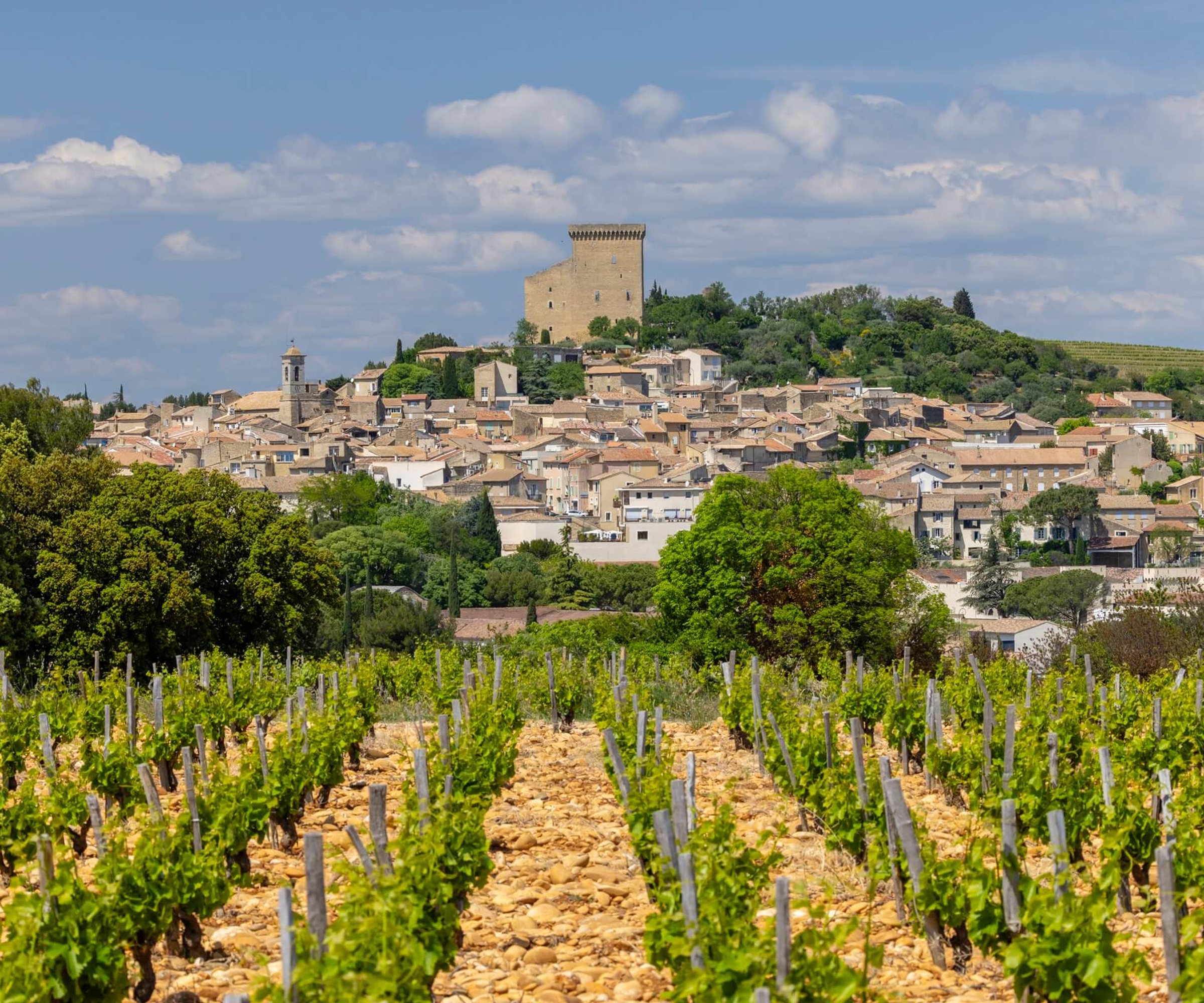 Day 2   Chateauneuf du Pape