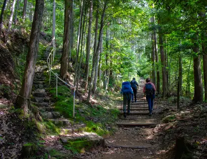 Nakasendo Trail Hiking and Walking Tour