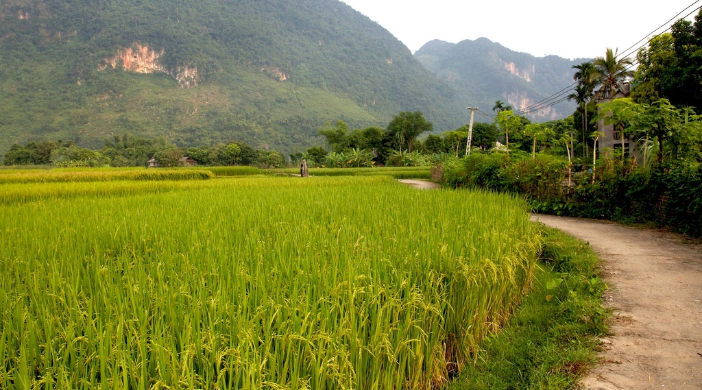 Ho Chi Minh Trail by Gravel Bike | Art of Bicycle Trips