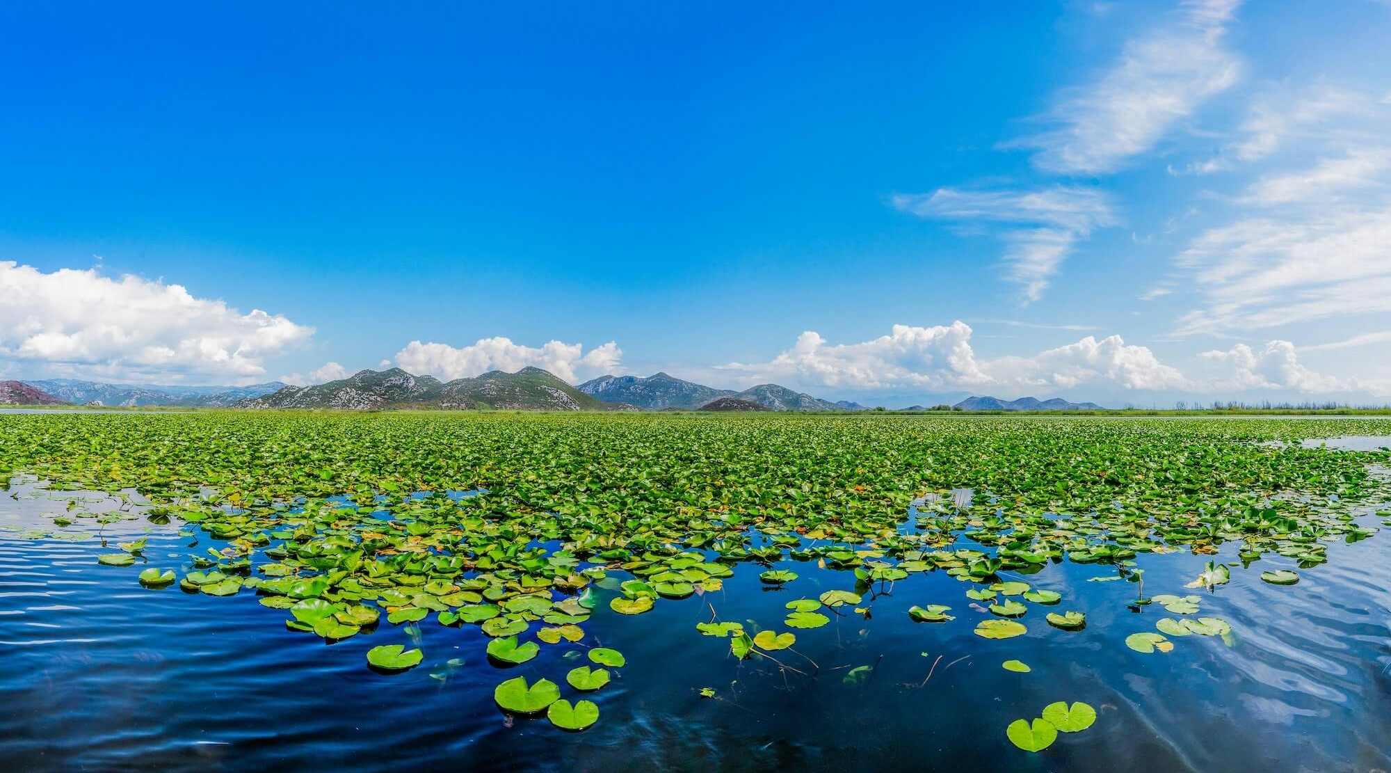 Albania Skadar Lake (2)