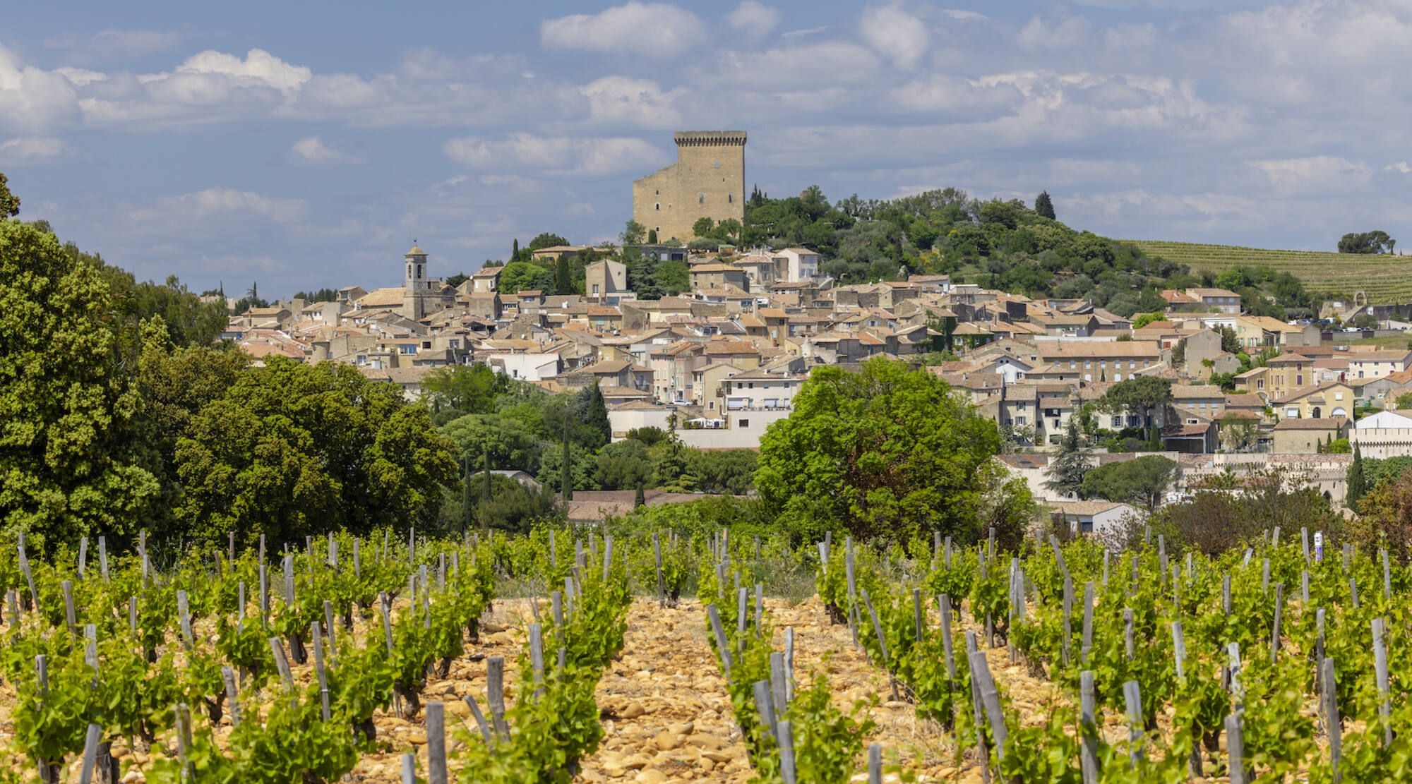 Day 2   Chateauneuf du Pape